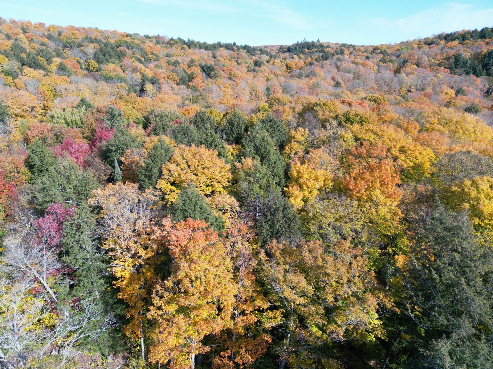 Aerial view of fall foliage across the Haliburton Highlands