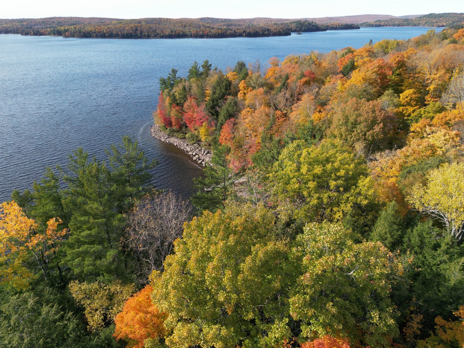 Aerial view of Haliburton Lake shoreline in autumn colour